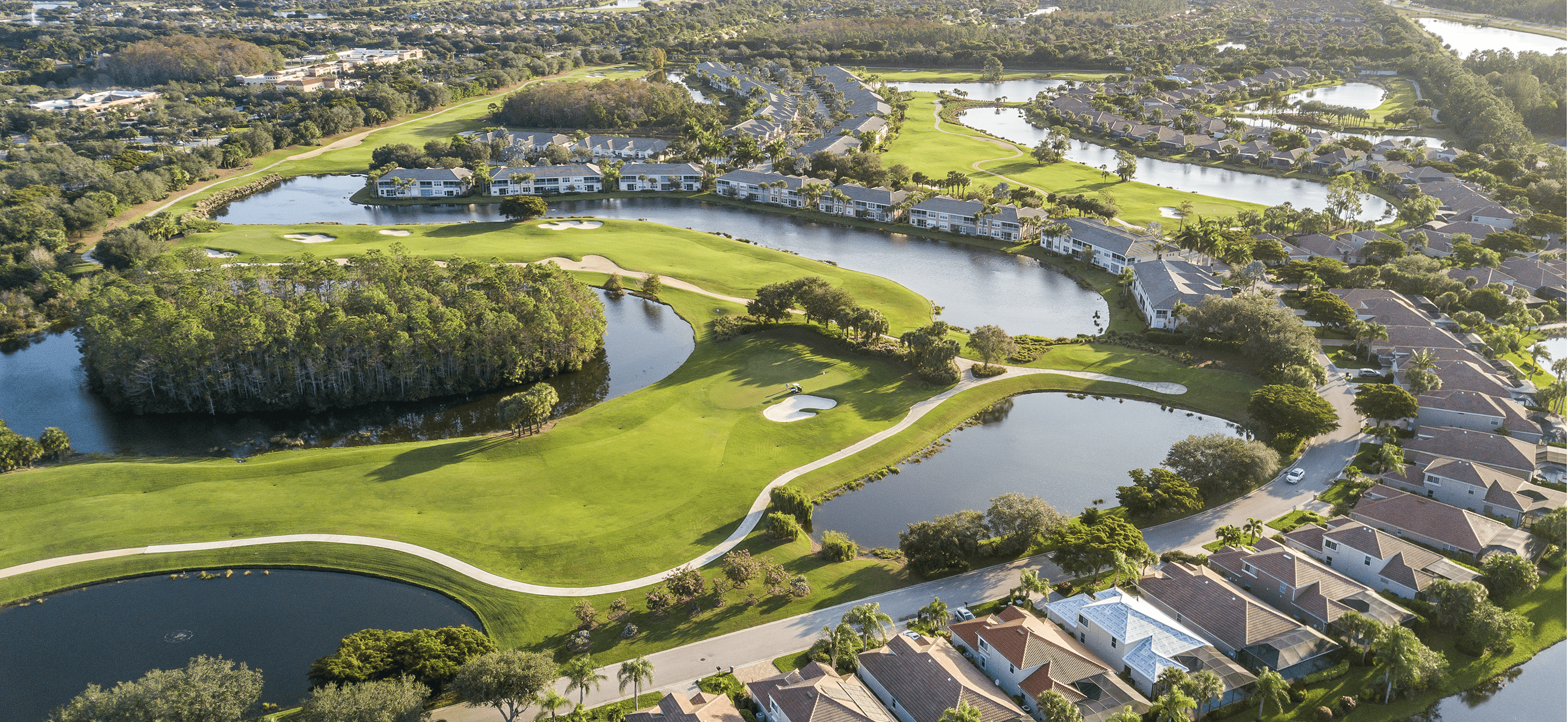 houses aerial view