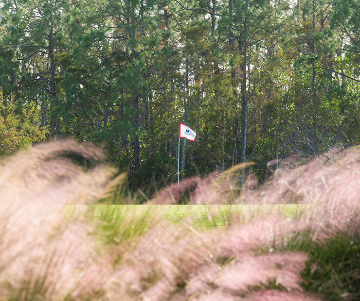 golf green with flag