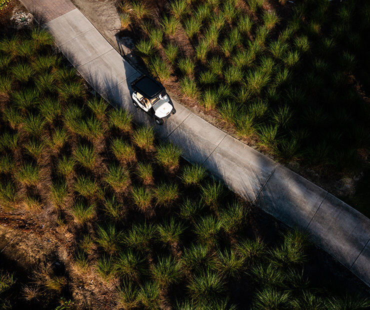 golf cart path through the trees