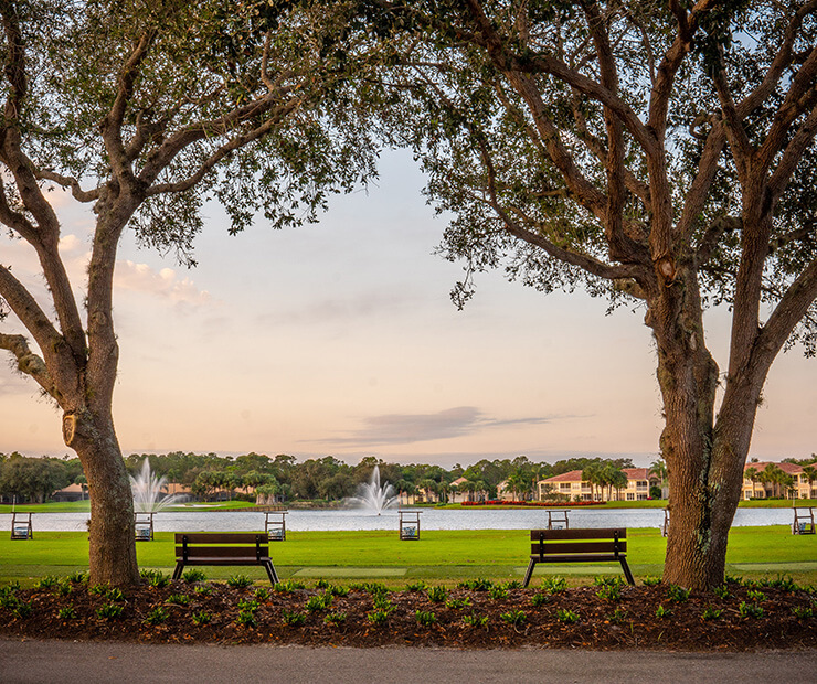 benches under trees by waterway